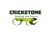 Cricket One vô địch tại VietChallenge 2020 với số tiền thưởng 15.000 USD Cricket One vô địch tại VieChallenge