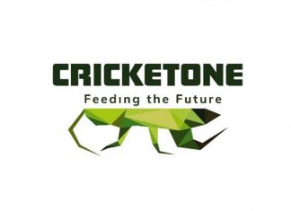 Cricket One vô địch tại VietChallenge 2020 với số tiền thưởng 15.000 USD Cricket One vô địch tại VieChallenge