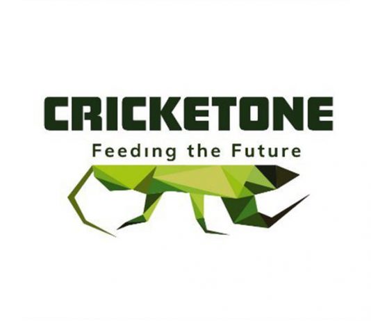 Cricket One vô địch tại VietChallenge 2020 với số tiền thưởng 15.000 USD Cricket One vô địch tại VieChallenge