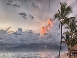 Lịch sử hình thành và phát triển rượu rum ở biển Caribbean