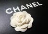 Chanel bổ sung bản vẽ hoa trà vào kho nhãn hiệu của hãng Chanel đăng ký bảo hộ nhãn hiệu cho bản vẽ hoa trà