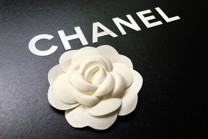 Chanel-camelia Chanel đăng ký bảo hộ nhãn hiệu cho bản vẽ hoa trà