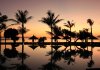 Đơn đăng ký SHTT ở Indonesia tăng mạnh bất chấp khủng hoảng Covid Đơn đăng ký SHTT ở Indonesia tăng mạnh bất chấp khủng hoảng Covid