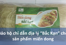 Bảo hộ chỉ dẫn địa lý “Bắc Kạn” cho sản phẩm miến dong Bảo hộ chỉ dẫn địa lý “Bắc Kạn” cho sản phẩm miến dong