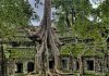 Số đơn đăng ký nhãn hiệu thành công ở Campuchia đạt kỷ lục mới vào năm 2020 Số đơn đăng ký nhãn hiệu thành công ở Campuchia đạt kỷ lục mới vào năm 2020