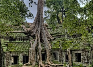 Số đơn đăng ký nhãn hiệu thành công ở Campuchia đạt kỷ lục mới vào năm 2020 Số đơn đăng ký nhãn hiệu thành công ở Campuchia đạt kỷ lục mới vào năm 2020