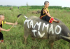 Kênh youtube “Tam Mao TV” có nguy cơ bị xóa vĩnh viễn do bị kiện vi phạm thương hiệu Kênh youtube "Tam Mao TV" có nguy cơ bị xóa vĩnh viễn do bị kiện vi phạm thương hiệu