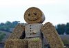 “Bù nhìn” (Straw man) và một số vấn đề liên quan tới sở hữu trí tuệ “Bù nhìn” (Straw man) và một số vấn đề liên quan tới sở hữu trí tuệ