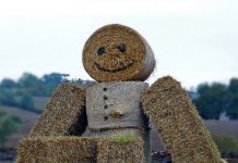 “Bù nhìn” (Straw man) và một số vấn đề liên quan tới sở hữu trí tuệ “Bù nhìn” (Straw man) và một số vấn đề liên quan tới sở hữu trí tuệ