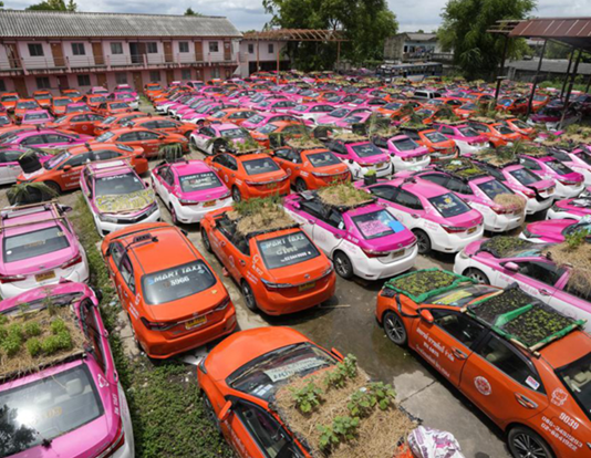Sáng chế phủ xanh nóc xe siêu độc đáo của các tài xế taxi Thái Lan Sáng chế phủ xanh nóc xe của các tài xế taxi Thái Lan