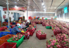 Những khó khăn và thách thức của Việt Nam khi bảo hộ nông sản ở nước ngoài Những khó khăn và thách thức của Việt Nam khi bảo hộ nông sản ở nước ngoài