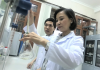 Bảo hộ sáng chế từ rau sam Bảo hộ sáng chế từ rau sam