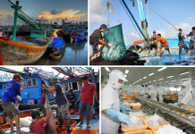 Indonesia với sự bùng nổ khởi nghiệp nuôi trồng thủy sản