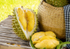 Xây dựng thương hiệu cho sầu riêng Việt Xây dựng thương hiệu cho sầu riêng Việt