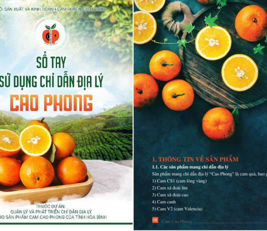 Năm 2021: Nhiều thành công trong hoạt động hỗ trợ phát triển Tài sản trí tuệ Năm 2021: Nhiều thành công trong hoạt động hỗ trợ phát triển Tài sản trí tuệ