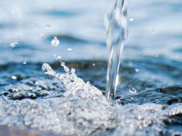 Bỉ sáng chế thành công que thử bằng giấy đánh giá chất lượng nước