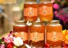 Thương hiệu mật ong Hương Sơn chính thức được bảo hộ Mật ong rừng Hương Sơn chính thức có giấy chứng nhận nhãn hiệu