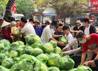 Sáng chế Việt: Công nghệ loại bỏ khí etylen giúp rau quả tươi mới lâu hơn Công nghệ loại bỏ khí etylen giúp rau quả tươi mới lâu hơn, , sở hữu trí tuệ, sáng chế, sáng chế Việt