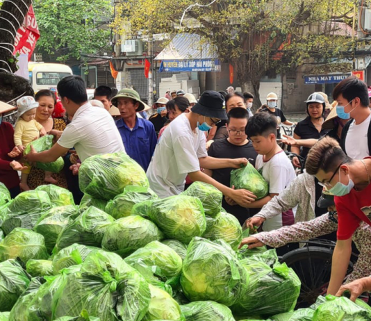 Sáng chế Việt: Công nghệ loại bỏ khí etylen giúp rau quả tươi mới lâu hơn Công nghệ loại bỏ khí etylen giúp rau quả tươi mới lâu hơn, , sở hữu trí tuệ, sáng chế, sáng chế Việt