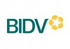 Nhận diện thương hiệu mới của BIDV Nhận diện thương hiệu mới của BIDV, BIDV sử dụng nhận diện thương hiệu mới, BIDV thay đổi nhận diện thương hiệu mới
