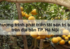 Chương trình phát triển tài sản trí tuệ trên địa bàn Hà Nội Chương trình phát triển tài sản trí tuệ, Hà Nội,UBND TP Hà Nội, Nhiệm vụ KH-CN, phát triển kinh tế - xã hội, an ninh, quốc phòng, Quy chế Quản lý các nhiệm vụ KH-CN cấp Thành phố, Nhãn hiệu tập thể, Rau an toàn Thanh Đa, Củ đậu Lệ Chi, xã Lệ Chi, huyện Gia Lâm, Hoa Tây Tựu