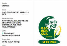 Gạo ST24, ST25 đạt được bảo hộ đối với nhãn hiệu tại thị trường Australia gạo ST24 ST25 đạt được bảo hộ đối với nhãn hiệu tại thị trường Australia, bảo hộ nhãn hiệu tại thị trường Australia, gạo ST24 ST25 , GAO ONG CUA VIETNAM,