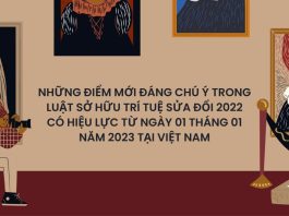 những điểm mới đáng chú ý trong Luật Sở hữu trí tuệ sửa đổi 2022 có hiệu lực từ ngày 01 tháng 01 năm 2023 tại Việt Nam, những điểm mới đáng chú ý trong Luật Sở hữu trí tuệ sửa đổi 2022 , điểm mới đáng chú ý trong Luật Sở hữu trí tuệ sửa đổi 2022, Luật Sở hữu trí tuệ sửa đổi Việt Nam năm 2022,