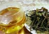 Đăng ký chỉ dẫn địa lý cho sản phẩm chè vằng “Quảng Trị” đăng ký chỉ dẫn địa lý cho sản phẩm chè vằng “Quảng Trị”, sản phẩm chè vằng “Quảng Trị”, chè vằng “Quảng Trị”,