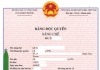 2 lưu ý quan trọng cần biết khi soạn đơn đăng ký sáng chế tại Việt Nam 2 lưu ý quan trọng cần biết khi soạn đơn đăng ký sáng chế tại Việt Nam, soạn đơn đăng ký sáng chế tại Việt Nam, lưu ý khi soạn đơn đăng ký sáng chế tại Việt Nam,