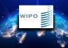 Việt Nam tiếp tục hợp tác với WIPO phát triển sở hữu trí tuệ toàn cầu Việt Nam tiếp tục hợp tác với WIPO phát triển sở hữu trí tuệ toàn cầu
