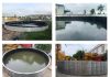 Đăng ký sáng chế sản phẩm bê tông cốt sợi thủy tinh nhẹ dùng để thành lập ao hồ nuôi tôm đăng ký sáng chế sản phẩm bê tông cốt sợi thủy tinh nhẹ dùng để thành lập ao hồ nuôi tôm, đăng ký sáng chế sản phẩm bê tông cốt sợi thủy tinh nhẹ , sản phẩm bê tông cốt sợi thủy tinh nhẹ ,