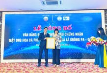 Đăng ký nhãn hiệu chứng nhận “Mật ong hoa cà phê Gia Lai” và “Thuốc lá lá Krông Pa – Gia Lai” Đăng ký nhãn hiệu chứng nhận “Mật ong hoa cà phê Gia Lai” và “Thuốc lá lá Krông Pa - Gia Lai”, Mật ong hoa cà phê Gia Lai, Thuốc lá lá Krông Pa - Gia Lai,