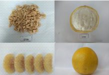 Bảo hộ chỉ dẫn địa lý “La Tinh Hoài Đức” cho sản phẩm bưởi đường bảo hộ chỉ dẫn địa lý “La Tinh Hoài Đức” cho sản phẩm bưởi đường, bảo hộ chỉ dẫn địa lý “La Tinh Hoài Đức” , chỉ dẫn địa lý “La Tinh Hoài Đức” cho bưởi đường,