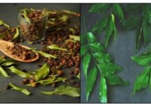 Đăng ký chỉ dẫn địa lý “Lạng sơn” cho sản phẩm mác mật Đăng ký chỉ dẫn địa lý "Lạng sơn" cho sản phẩm mác mật, Đăng ký chỉ dẫn địa lý "Lạng sơn" cho mác mật, Đăng ký chỉ dẫn địa lý "Lạng sơn" ,