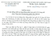 Cục Sở hữu trí tuệ Việt Nam thông báo về việc thống nhất áp dụng Bảng phân loại quốc tế về sáng chế phiên bản 2025.01 Cục Sở hữu trí tuệ Việt Nam thông báo về việc thống nhất áp dụng Bảng phân loại quốc tế về sáng chế phiên bản 2025.01, Cục Sở hữu trí tuệ Việt Nam thông báo về việc thống nhất áp dụng Bảng phân loại quốc tế về sáng chế, Cục Sở hữu trí tuệ thông báo về việc thống nhất áp dụng Bảng phân loại quốc tế về sáng chế phiên bản 2025.01, Việt Nam thống nhất áp dụng Bảng phân loại quốc tế về sáng chế phiên bản 2025.01, Cục Sở hữu trí tuệ Việt Nam thống nhất áp dụng Bảng phân loại quốc tế về sáng chế,