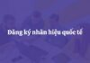 Thúc đẩy sử dụng Hệ thống Madrid: Việt Nam nỗ lực tăng cường bảo hộ nhãn hiệu ở nước ngoài Hệ thống Madrid đăng ký nhãn hiệu quốc tế, Việt Nam bảo hộ nhãn hiệu ở nước ngoài, Đăng ký nhãn hiệu quốc tế tại Việt Nam, Thủ tục đăng ký nhãn hiệu hệ thống Madrid, Bảo hộ thương hiệu toàn cầu từ Việt Nam,