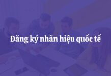 Thúc đẩy sử dụng Hệ thống Madrid: Việt Nam nỗ lực tăng cường bảo hộ nhãn hiệu ở nước ngoài Hệ thống Madrid đăng ký nhãn hiệu quốc tế, Việt Nam bảo hộ nhãn hiệu ở nước ngoài, Đăng ký nhãn hiệu quốc tế tại Việt Nam, Thủ tục đăng ký nhãn hiệu hệ thống Madrid, Bảo hộ thương hiệu toàn cầu từ Việt Nam,