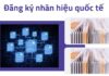 USPTO đối mặt làn sóng đăng ký nhãn hiệu ‘Trump’ không hợp lệ VLIP's analysis of USPTO trademark examination challenges with political name applications.