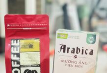 Bảo hộ chỉ dẫn địa lý “Mường Ảng”: Khẳng định giá trị và danh tiếng cà phê Điện Biên Bảo hộ chỉ dẫn địa lý Mường Ảng, cà phê Điện Biên, chỉ dẫn địa lý Việt Nam, đặc sản vùng miền, cà phê đặc sản Tây Bắc, nông sản Việt Nam, đăng ký sở hữu trí tuệ, phát triển thương hiệu địa phương,