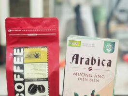 Bảo hộ chỉ dẫn địa lý Mường Ảng, cà phê Điện Biên, chỉ dẫn địa lý Việt Nam, đặc sản vùng miền, cà phê đặc sản Tây Bắc, nông sản Việt Nam, đăng ký sở hữu trí tuệ, phát triển thương hiệu địa phương,