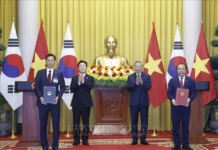 Bộ Khoa học và Công nghệ Việt Nam và Bộ Sở hữu trí tuệ Hàn Quốc ký kết biên bản ghi nhớ tăng cường hợp tác về lĩnh vực sở hữu trí tuệ hợp tác SHTT Việt Nam Hàn Quốc, MOST Việt Nam KIPO Hàn Quốc, biên bản ghi nhớ hợp tác SHTT, đào tạo nhân lực sở hữu trí tuệ, trao đổi thông tin sáng chế, thúc đẩy đổi mới sáng tạo, SHTT Việt Nam,