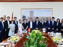hợp tác SHTT Việt Nam Nhật Bản, thẩm định sáng chế Việt Nam, nâng cao chất lượng thẩm định, trao đổi chuyên môn SHTT, hợp tác quốc tế sở hữu trí tuệ, đổi mới sáng tạo Việt Nam, JICA SHTT, Cục Sở hữu trí tuệ,