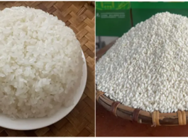 Gạo nếp Gà Gáy Mỹ Lung được bảo hộ chỉ dẫn địa lý gạo nếp Gà Gáy Mỹ Lung, chỉ dẫn địa lý, bảo hộ chỉ dẫn địa lý, gạo nếp Phú Thọ, đặc sản Mỹ Lung, nông sản chỉ dẫn địa lý, Gà Gáy Mỹ Lung, sở hữu trí tuệ nông sản