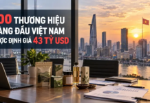 100 thương hiệu hàng đầu Việt Nam được định giá 43 tỷ USD 100 thương hiệu hàng đầu Việt Nam, định giá thương hiệu 43 tỷ USD, Brand Finance 2026, Vietcombank thương hiệu mạnh nhất, Viettel Vingroup, xếp hạng thương hiệu Việt Nam, giá trị thương hiệu quốc gia,